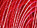 couples dans lumire rouge et jonglage