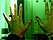 mains sur \rphotocopieuse, \r l'endroit